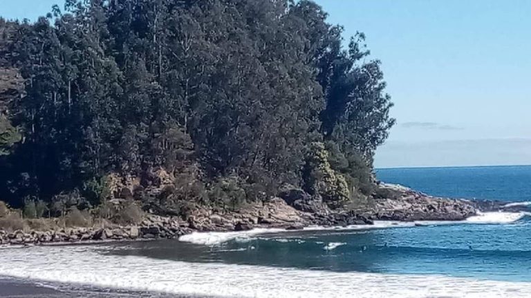 Encuentran resto de embarcación en playa de Lota: Armada aún no confirma su origen