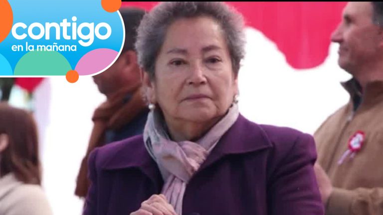 Habría visitado a unos amigos: Lo que se sabe de la enigmática desaparición de concejala en Villa Alegre