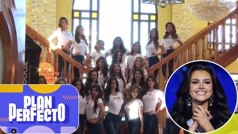 ¿La próxima Emilia Dides? Las candidatas a Miss Chile que buscarán representar al país en Miss Universo