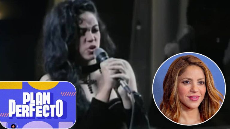 Cantaron en Viña y lograron la fama mundial: Los artistas que saltaron al estrellato en la Quinta Vergara