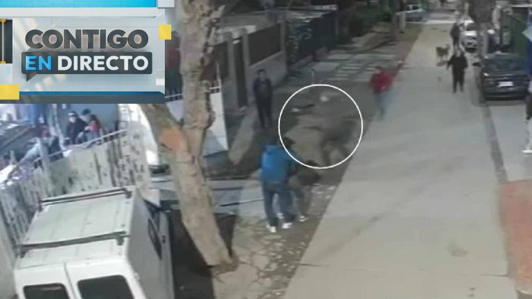 Pelea a golpes y disparo al cuello: Los detalles del asesinato de vecina por música fuerte en Cerro Navia