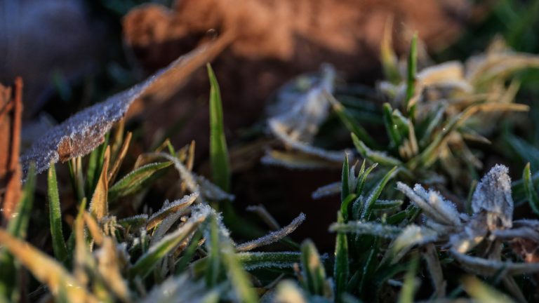 Hasta -4°C: Emiten aviso por heladas en cuatro regiones del país