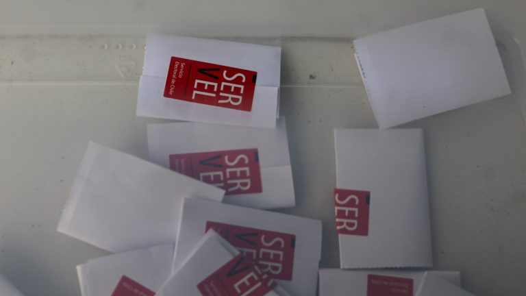 Cuándo se sabrán los resultados de las primarias presidenciales 2025