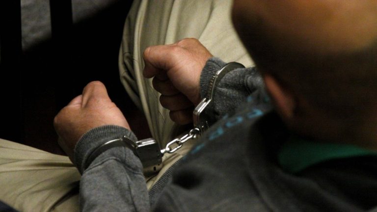 Prisión preventiva para acusado de usar perros en abusos contra su pareja en La Araucanía