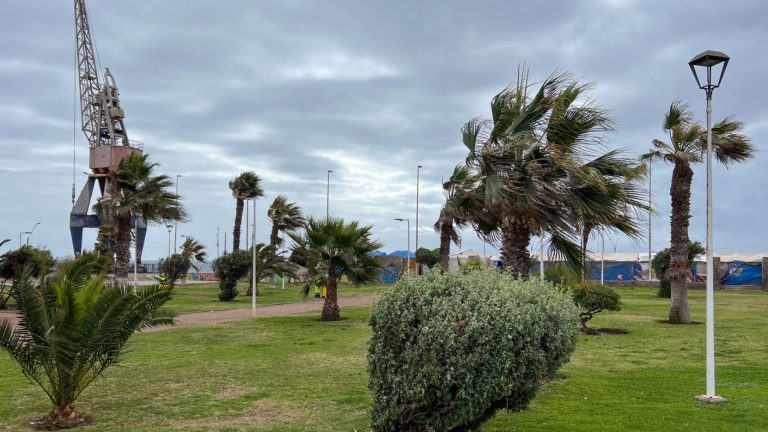 Llegó el sistema frontal: Dirección Meteorológica declara alerta por fuertes vientos en Atacama
