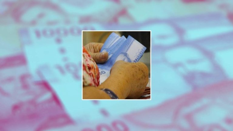 Mujeres trabajadoras pueden acceder a los $678 mil anuales si cumplen estos requisitos