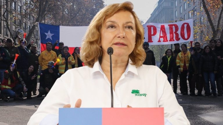 Gobierno confirmó renuncia de directora de Conaf en medio de paro indefinido de trabajadores