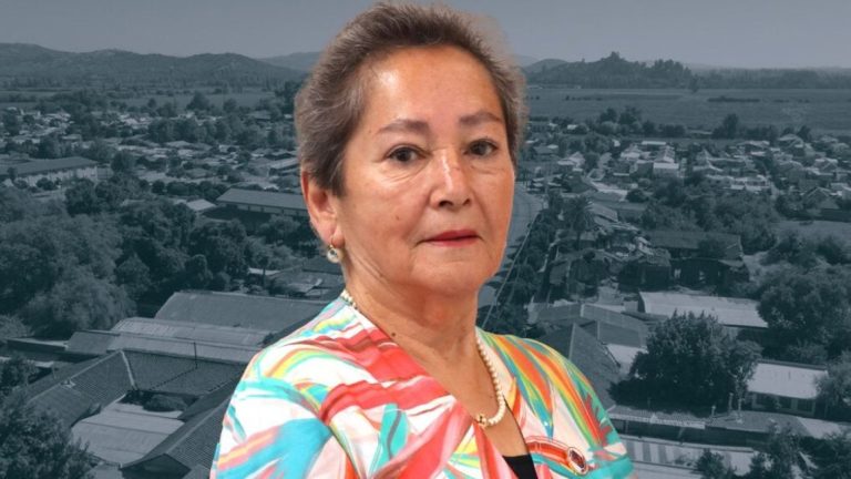 Alerta por concejala desaparecida en Villa Alegre: Ayudó a afectados por lluvias y no volvió a casa