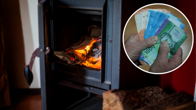 Familias pueden acceder a $100 mil para calefacción: Consulta con tu RUT si te corresponde el ex Bono Leña