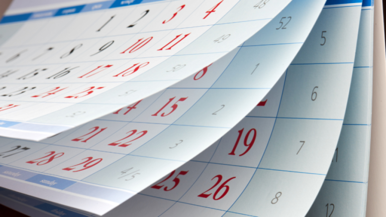 Fin de semana largo: ¿Por qué es feriado hoy viernes  20 de junio?