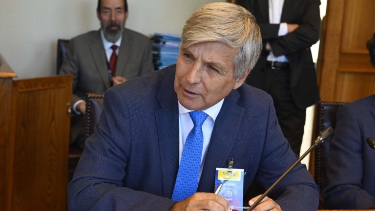 Si Jara gana las Primarias: La DC tendría como opción a Harold Mayne-Nicholls para la elecciones presidenciales