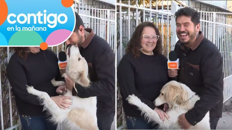 “Copito es un amor”: Perrito interrumpió tenso despacho de Contigo en la Mañana y rompió la seriedad