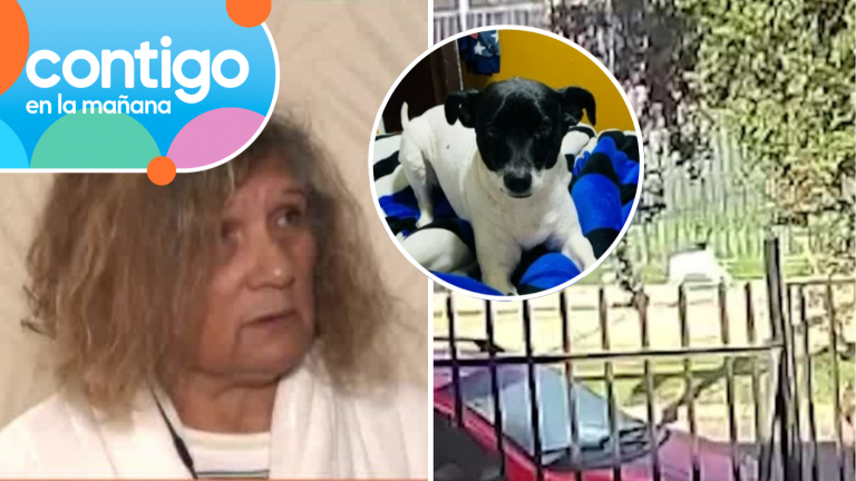 “Cometí un error”: Peluquera canina acusada de extraviar a perrita habló en Contigo en la Mañana