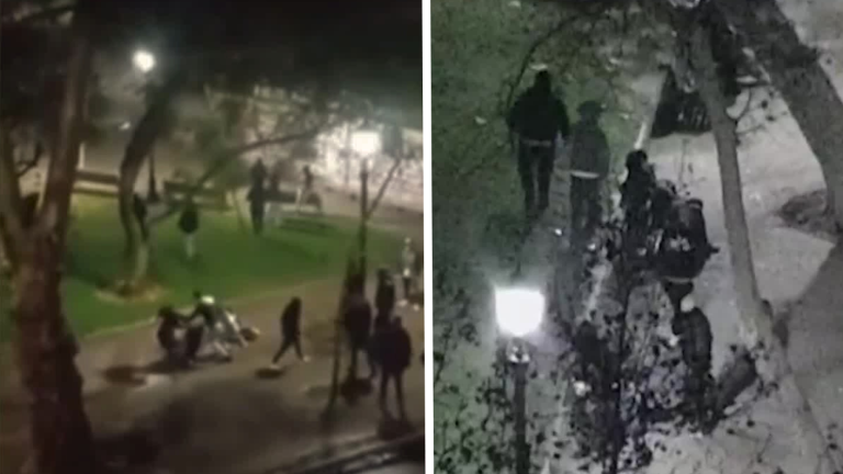 Detienen a 6 integrantes de la “jauría” del Parque Forestal: Todos tienen antecedentes