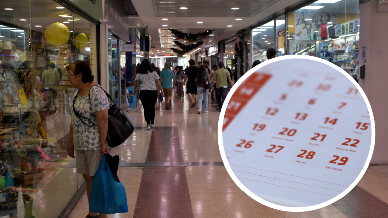 Feriado del Día de la Virgen del Carmen: Así funcionará el comercio este 16 de julio