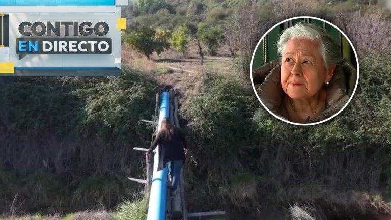 Adulta mayor debe cruzar por un tubo para acceder a su parcela en Buin: Hermano le cerró el acceso