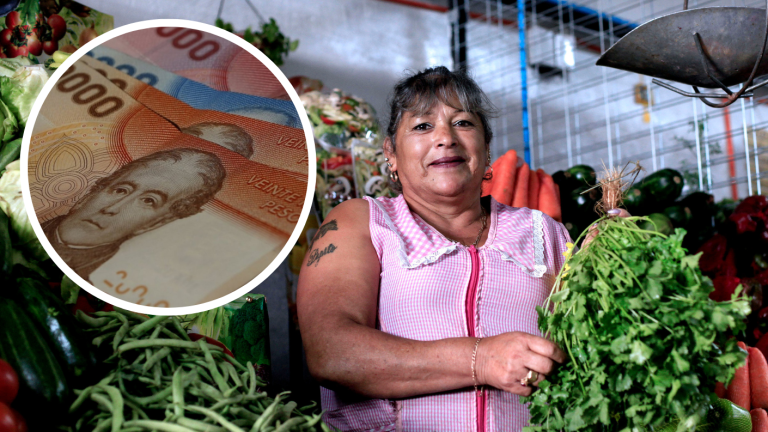 Mujeres de entre 29 y 59 años reciben $678 mil: Revisa con tu RUT si recibes este bono