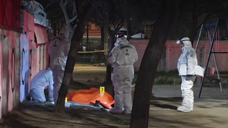 Un detenido por crimen en venta de consola en Rancagua: Fue entregado por su madre