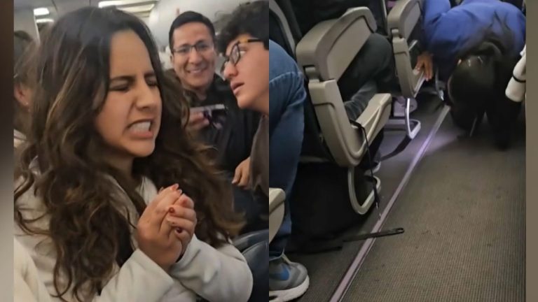 Hámster suelto causa estragos a bordo de un avión: Obligó a retrasar vuelo por 3 horas en Perú