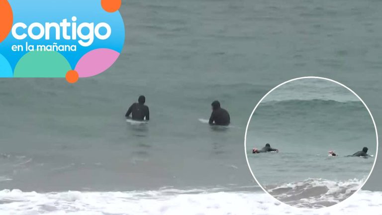 Sujetos fueron sorprendidos surfeando en Viña a horas de la evacuación por alerta de tsunami: “No falta el...”
