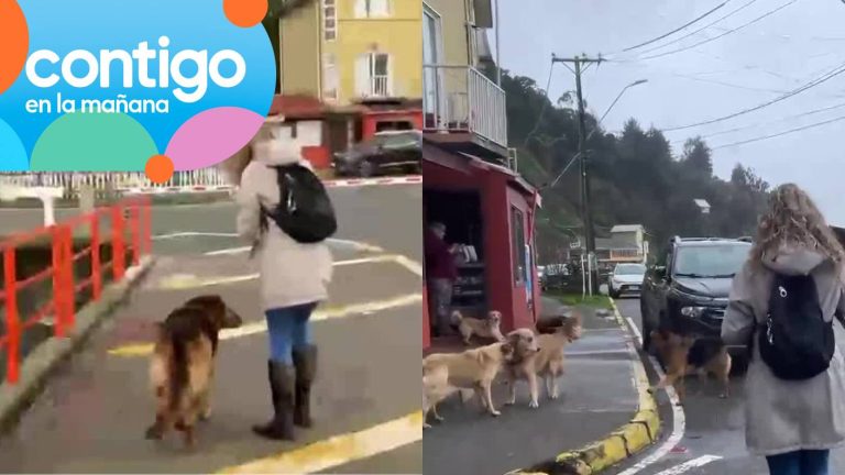¡Se unieron al paseo! Notera fue acompañada por cinco perritos en recorrido por Caleta Tumbes