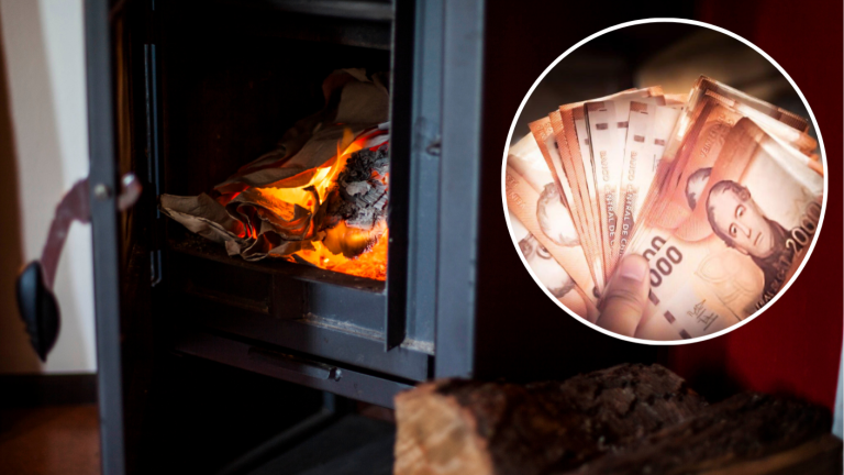 Este grupo recibe $100 mil para calefacción: Consulta con tu RUT si eres uno de ellos