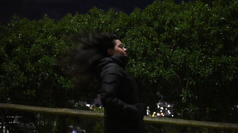 Con “probabilidad de generar riesgos en las personas”: Emiten alerta por vientos en dos regiones de Chile