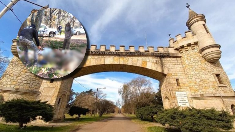 Decapitados y desmembrados: El macabro hallazgo de varios animales que tiene a la Policía argentina investigando posible ritual