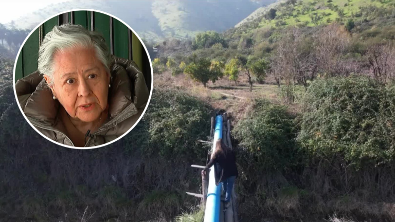 Mujer 80 años denuncia que no puede salir de su casa: Vecino instaló portón y cerró el único paso