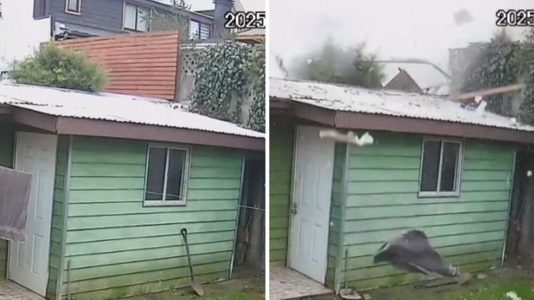 VIDEO | Captan momento exacto de la explosión en Temuco: Hay una mujer fallecida y varias casas dañadas