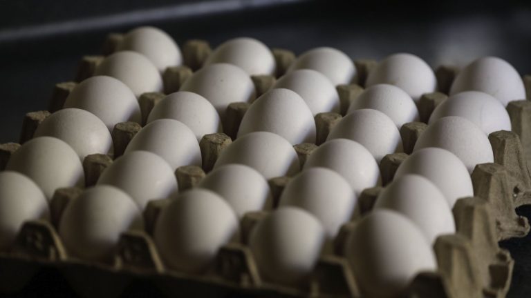 Alerta por aumento del contrabando de huevos en Chile: Se han decomisado más de un millón en 2025