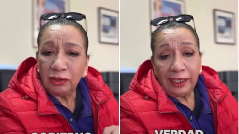 “No hay alternativa”: Vicepresidenta de ANEF hace un llamado a paro nacional por ley de licencias