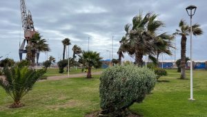 Rachas de hasta 100 km/h: Emiten aviso por viento 