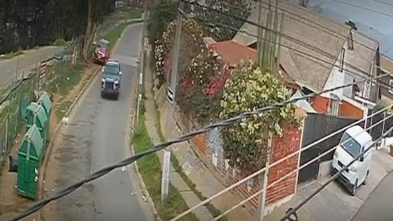 Perrito murió atropellado por patrulla de Carabineros en Viña del Mar