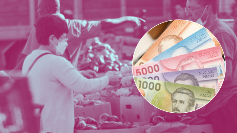 Dueñas de casa pueden recibir bono de hasta $452 mil si cumplen un requisito: Consulta si lo recibes