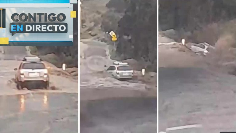 Auto fue arrastrado por la corriente: Impactante rescate de conductor que cayó al estero en Punitaqui
