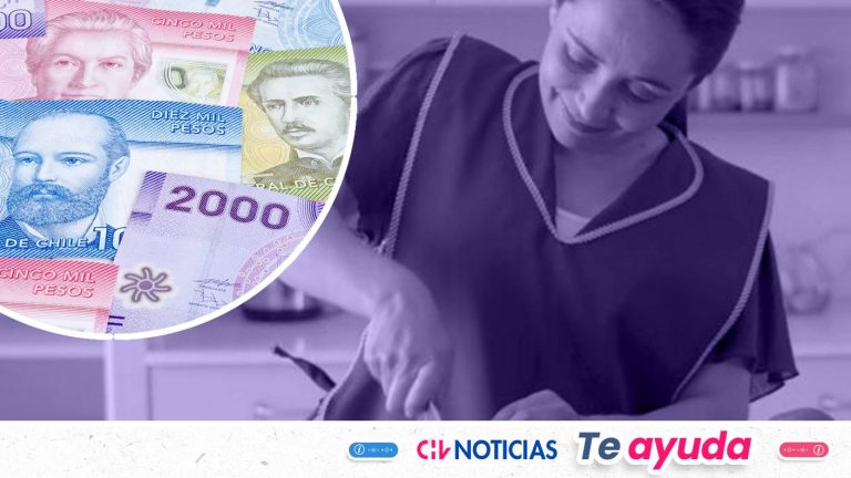 Bono Dueña de Casa: Revisa con tu RUT si eres beneficiaria de los $452 mil