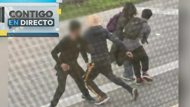 Cinco integrantes de “La jauría de Viña del Mar” quedaron en libertad: Tienen entre 14 y 17 años