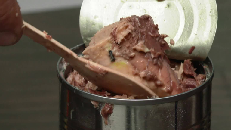 Seremi de Salud confirma que enlatados de China no son jurel: Esto arrojó el estudio