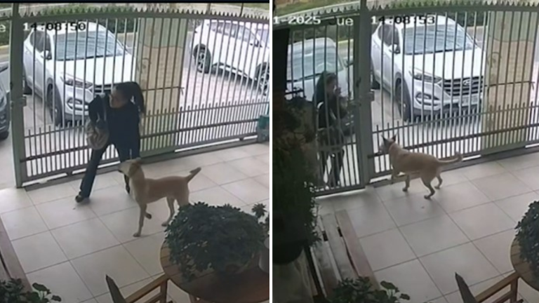 Perrito la intentó seguir: Captan a mujer abandonando a su mascota en veterinaria