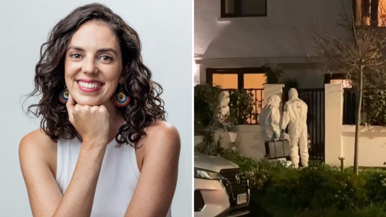 Roban en casa de subsecretaria de Patrimonios Culturales en Providencia: Vecinos la alertaron