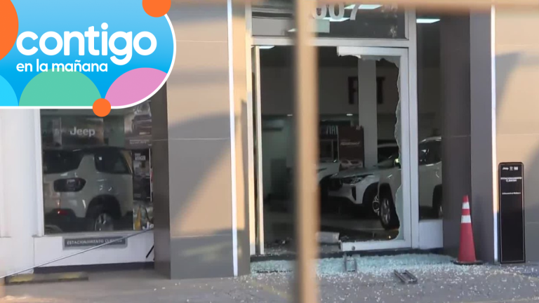 Millonario robo: Desconocidos sustrajeron al menos 10 vehículos desde una automotora