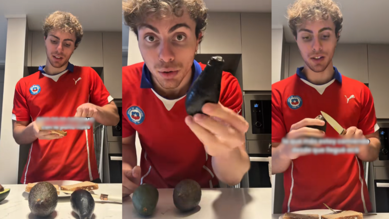 Tiktoker italiano probó y evaluó tipos de palta chilena: “No se compara”