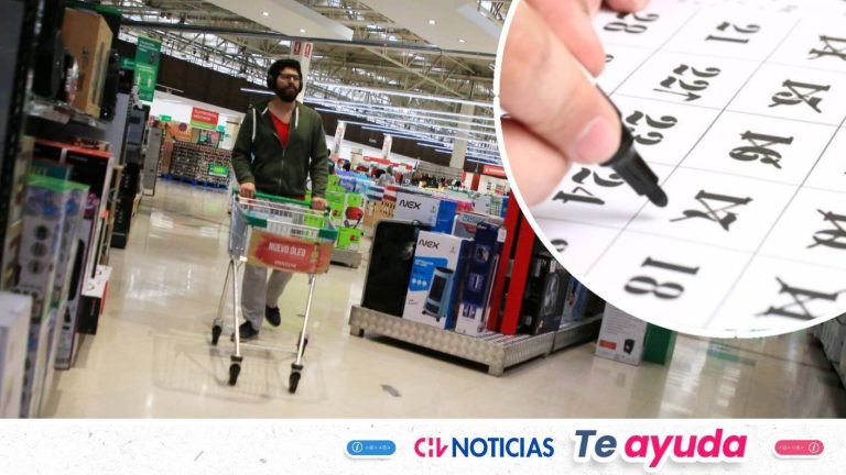 Fin de semana largo: Así funcionará el comercio durante el feriado de este viernes 15