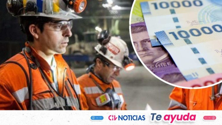 Codelco ofrece trabajo en distintas divisiones del país: Revisa cómo postular a las vacantes