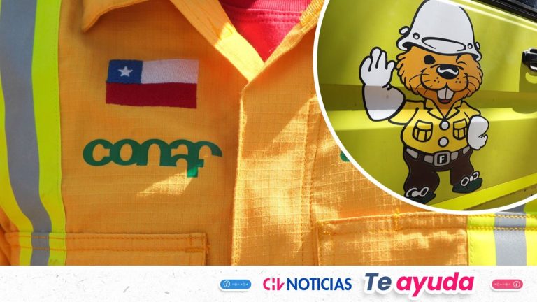 Conaf tiene ofertas de trabajo con sueldos de hasta $1,5 millones: Revisa cómo postular