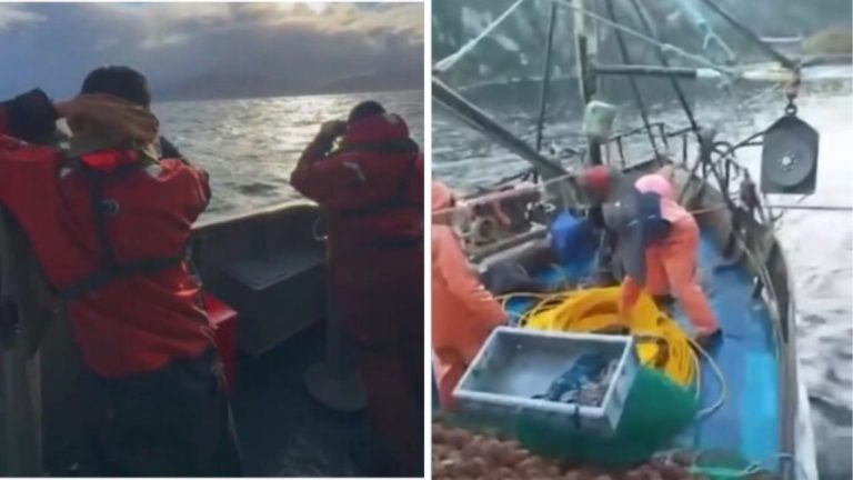 Hallan salvavidas en búsqueda de tripulantes desaparecidos tras naufragio en Magallanes