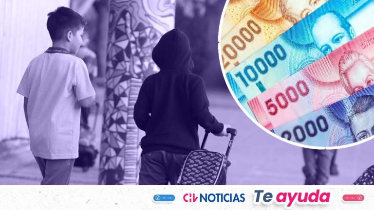Hasta $80 mil para estudiantes desde 5° básico: Revisa con tu RUT si te toca el Bono Logro Escolar