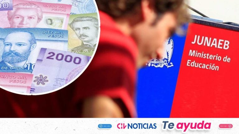 Beca Práctica Técnico Profesional entrega $62 mil a estudiantes y egresados: Revisa cómo postular