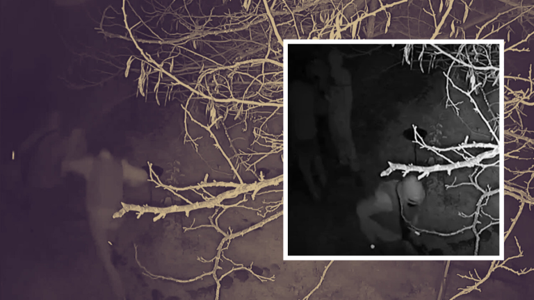 Se llevaron las llaves del auto días antes: Registros del primer robo a hombre atropellado en Curacaví